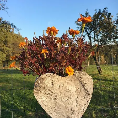Kellerstöckl am veganen Bio-Lebenshof Varm - die vegane Farm - nur für Hundefreunde und Naturliebhaber empfohlen !! Sulb Exterior foto