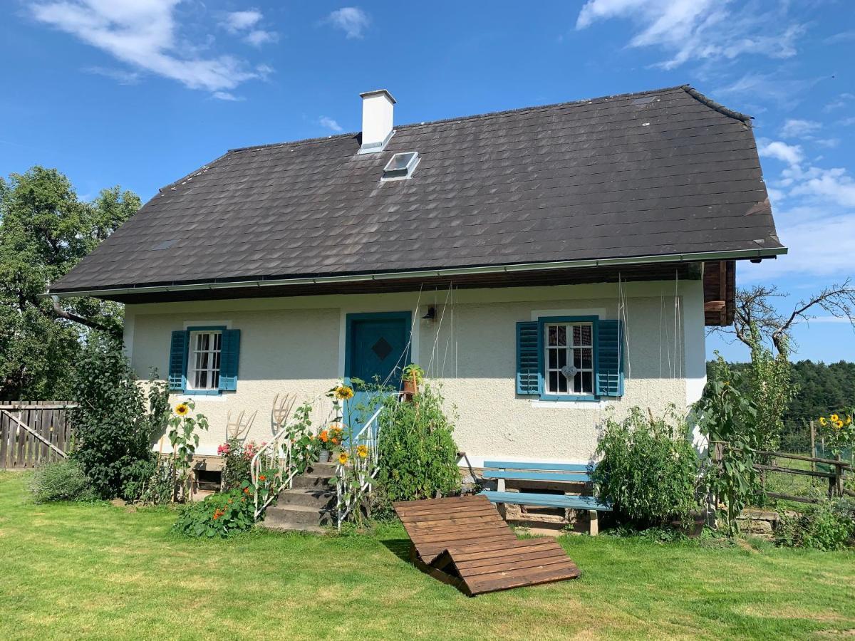 Varm: Vegan Bio-farm For Dog Lovers And Nature Enthusiasts Apartment