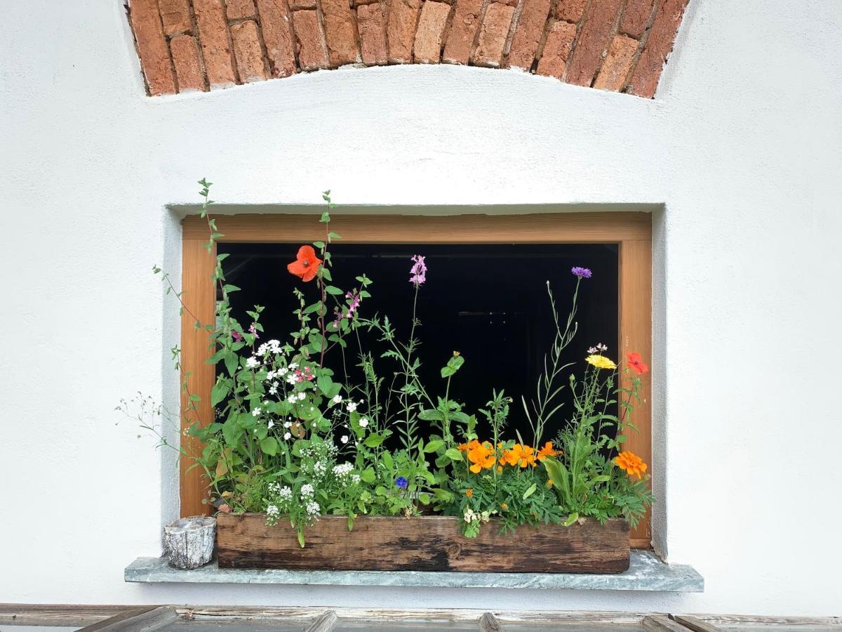 Apartment Varm: Vegan Bio-farm For Dog Lovers And Nature Enthusiasts Sulb