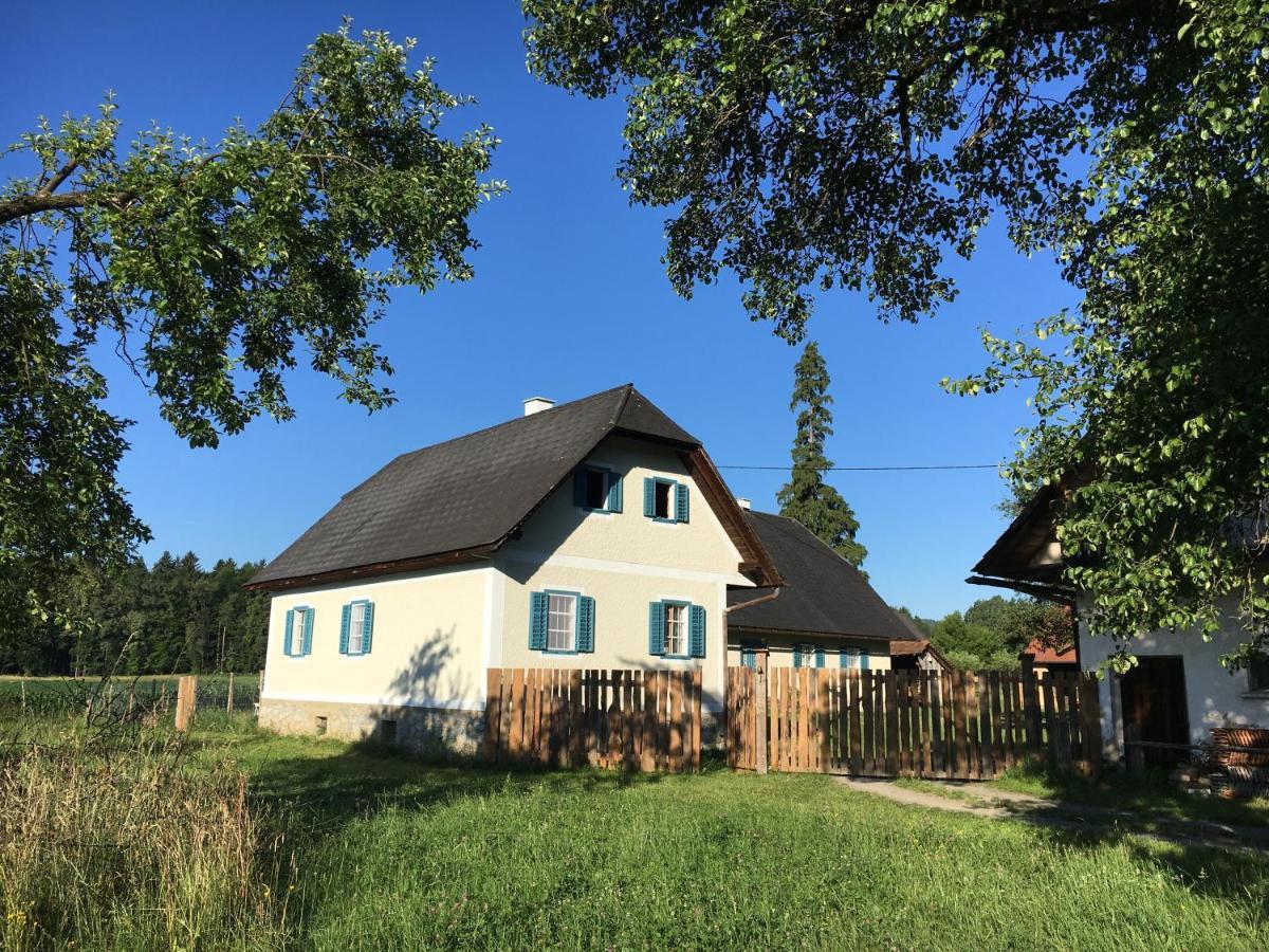 Varm: Vegan Bio-farm For Dog Lovers And Nature Enthusiasts Apartment
