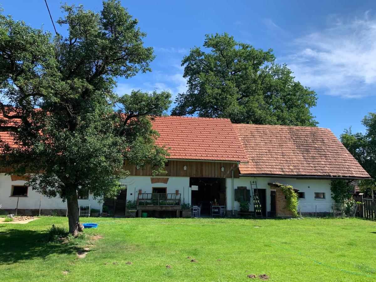 Apartment Varm: Vegan Bio-farm For Dog Lovers And Nature Enthusiasts Sulb