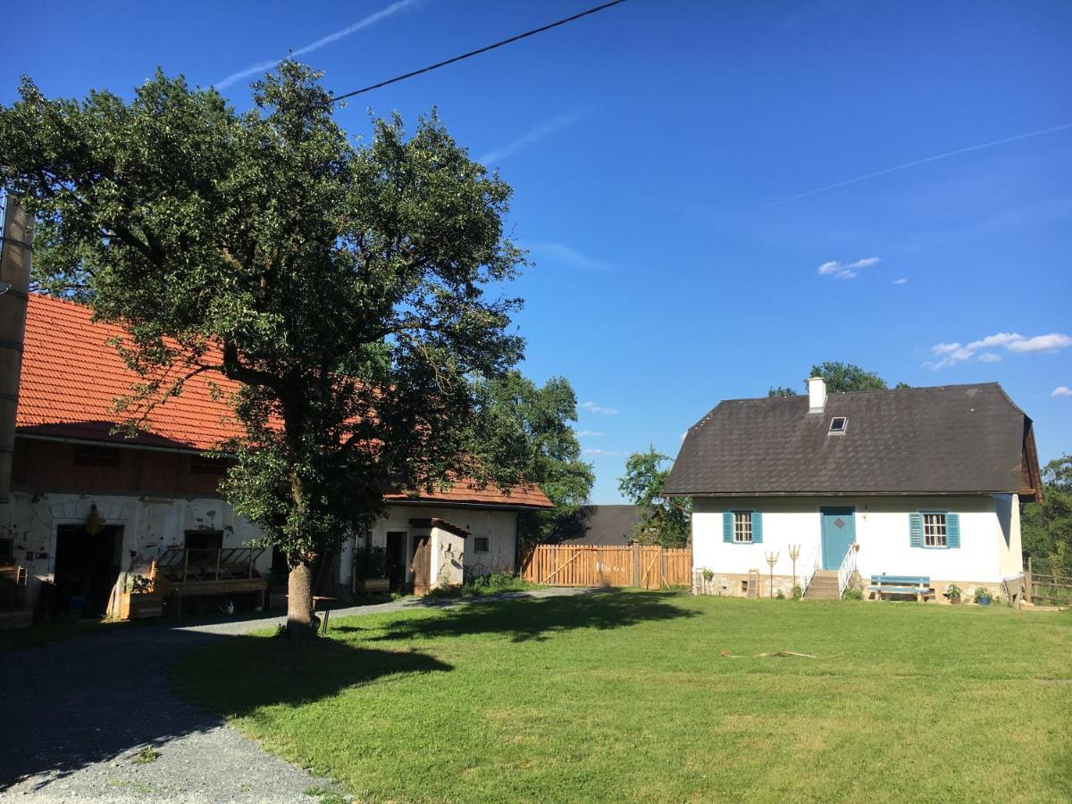 Apartment Varm: Vegan Bio-farm For Dog Lovers And Nature Enthusiasts