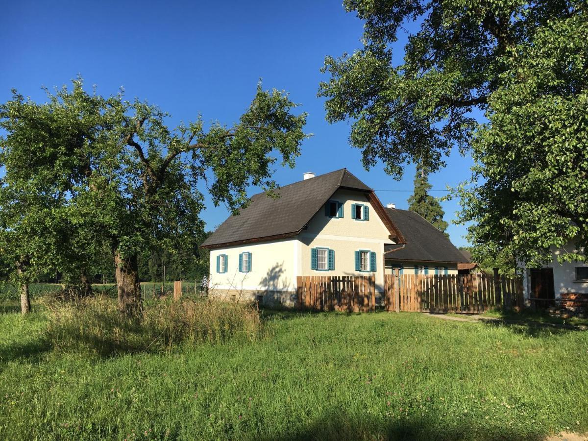 Varm: Vegan Bio-farm For Dog Lovers And Nature Enthusiasts *