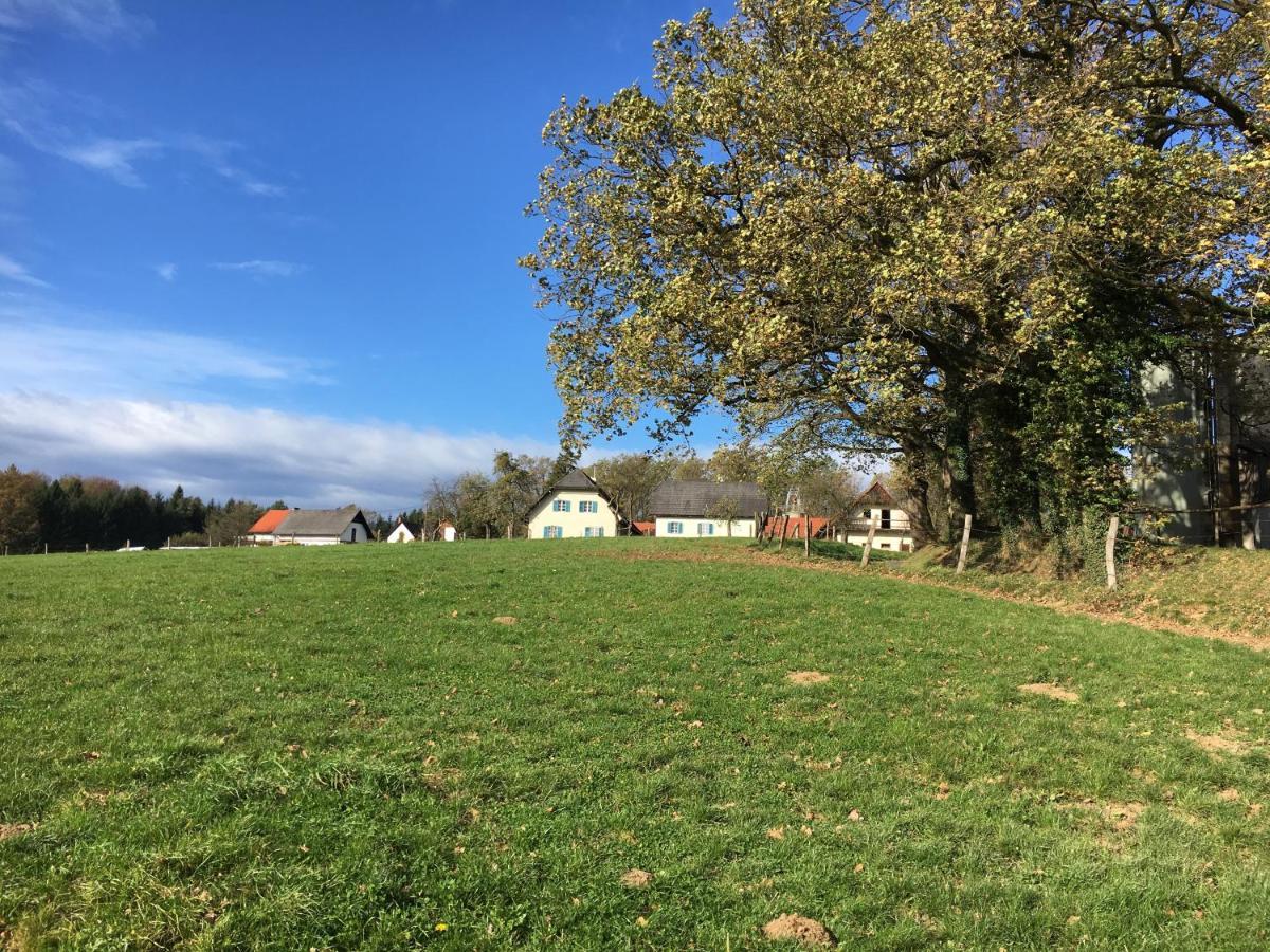 Apartment Varm: Vegan Bio-farm For Dog Lovers And Nature Enthusiasts *
