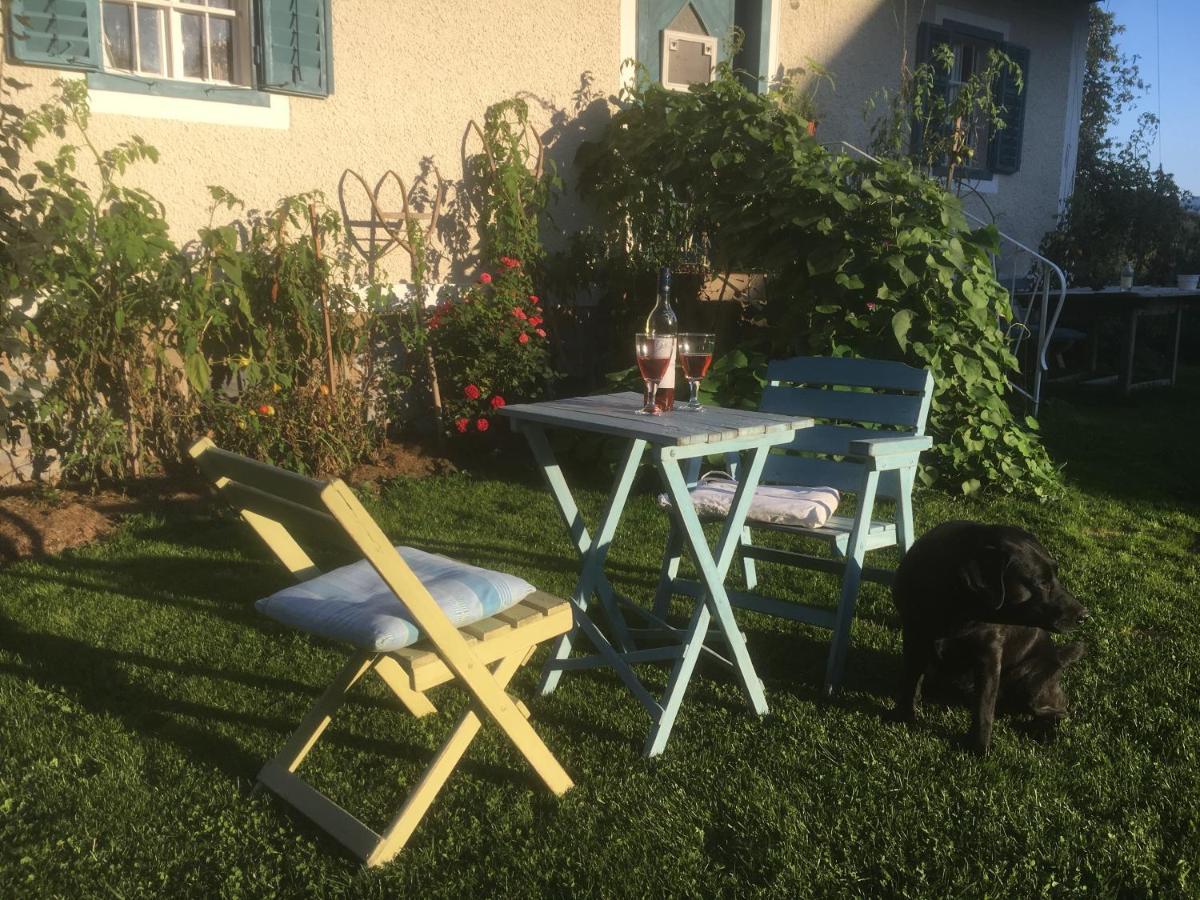 Varm: Vegan Bio-farm For Dog Lovers And Nature Enthusiasts Apartment Sulb