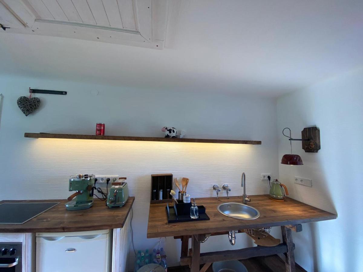 Apartment Varm: Vegan Bio-farm For Dog Lovers And Nature Enthusiasts