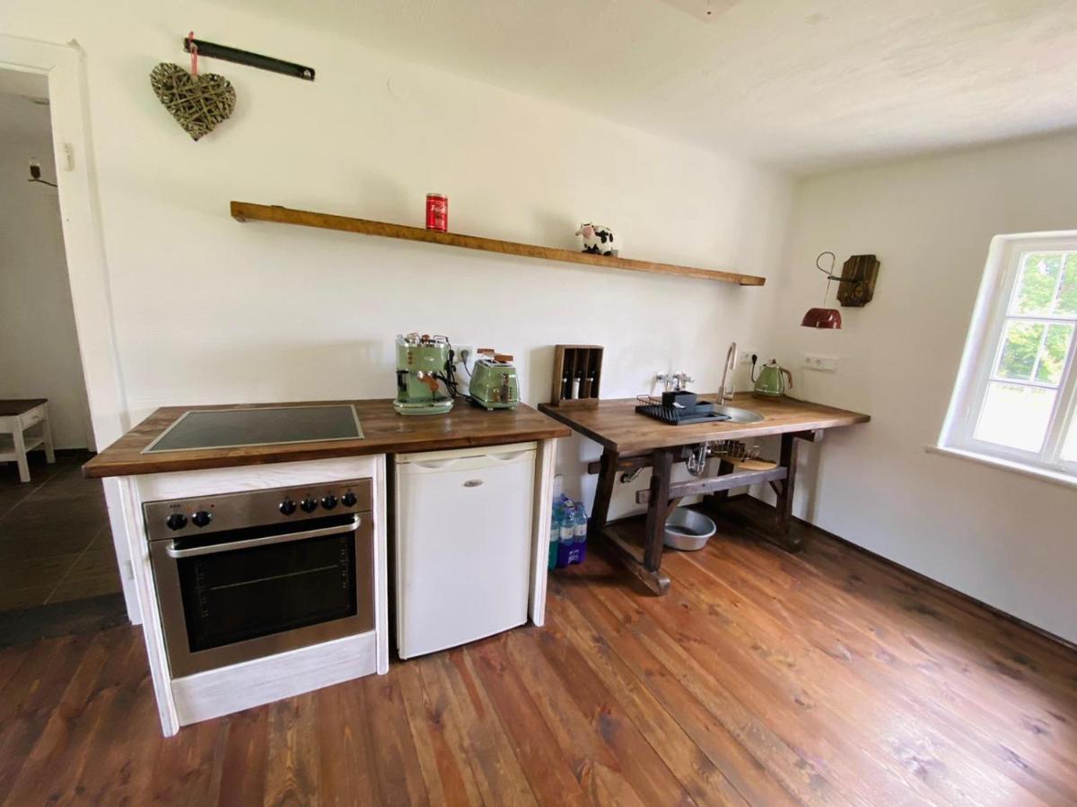 Varm: Vegan Bio-farm For Dog Lovers And Nature Enthusiasts *