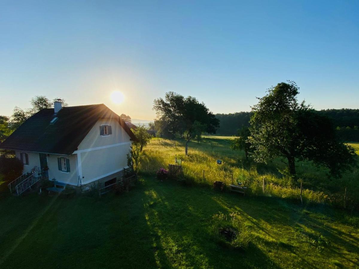 Apartment Varm: Vegan Bio-farm For Dog Lovers And Nature Enthusiasts *