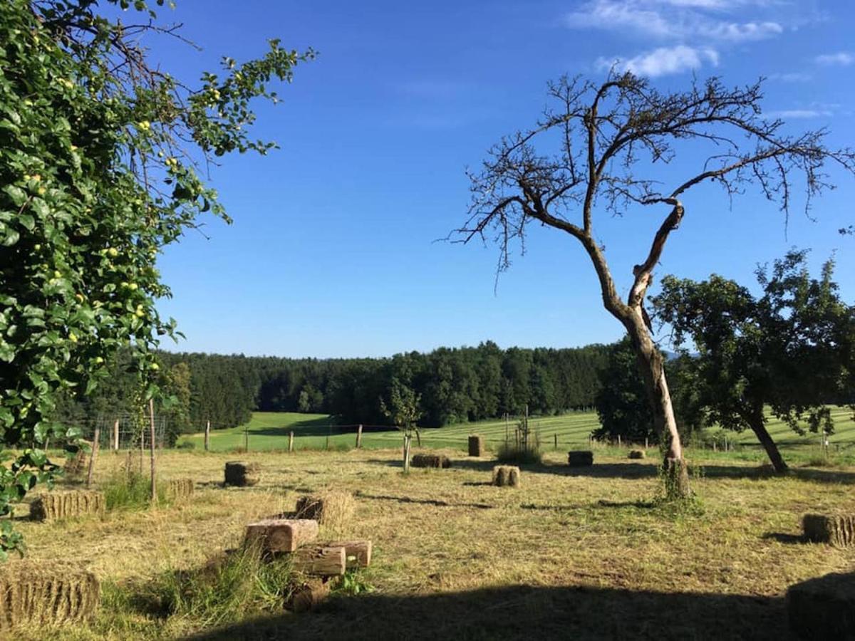 Varm: Vegan Bio-farm For Dog Lovers And Nature Enthusiasts Sulb