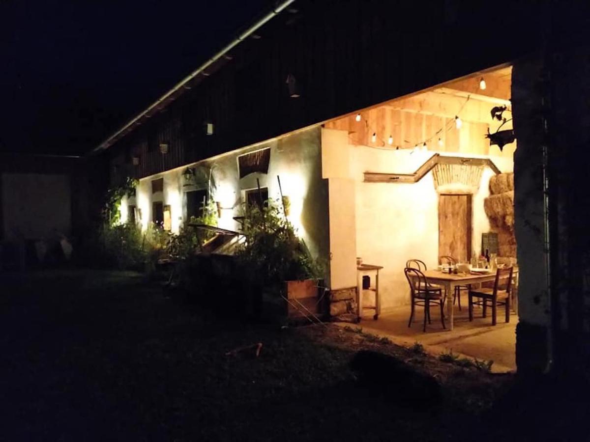 Varm: Vegan Bio-farm For Dog Lovers And Nature Enthusiasts *