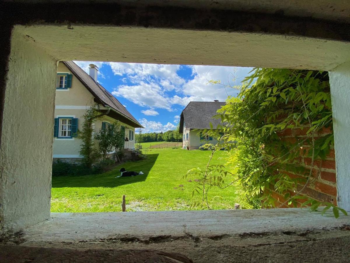 Apartment Varm: Vegan Bio-farm For Dog Lovers And Nature Enthusiasts *